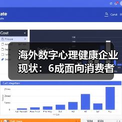 海外数字心理健康企业现状:6成面向消费者,背后真相揭秘(图4) 海外数字心理健康企业现状:6成面向消费者,背后真相揭秘(图4)