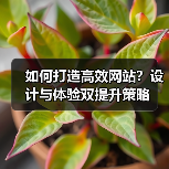 如何打造高效网站？设计与体验双提升策略（图1）