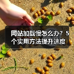 网站加载慢怎么办？5个实用方法提升速度（图4）