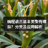 编程语言基本类型有哪些?分类及应用解析(图2) 编程语言基本类型有哪些?分类及应用解析(图2)