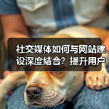 社交媒体如何与网站建设深度结合？提升用户体验新策略（图2）
