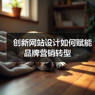 创新网站设计如何赋能品牌营销转型（图3）