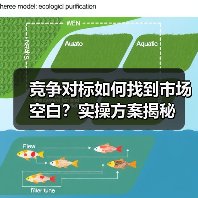 竞争对标如何找到市场空白？实操方案揭秘 - 推荐阅读文章