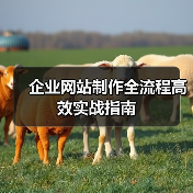 企业网站制作全流程高效实战指南(图1) 企业网站制作全流程高效实战指南(图1)
