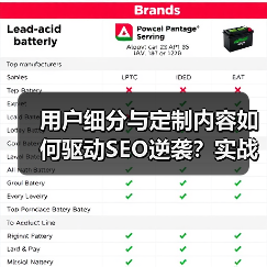 用户细分与定制内容如何驱动SEO逆袭？实战案例深度解析（图1）