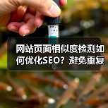 网站页面相似度检测如何优化SEO?避免重复提升排名(图3) 网站页面相似度检测如何优化SEO?避免重复提升排名(图3)