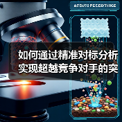 如何通过精准对标分析实现超越竞争对手的突破 - 推荐阅读文章