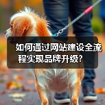 如何通过网站建设全流程实现品牌升级?(图3) 如何通过网站建设全流程实现品牌升级?(图3)