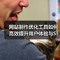网站制作优化工具如何高效提升用户体验与SEO排名?(图3) 网站制作优化工具如何高效提升用户体验与SEO排名?(图3)