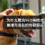 为什么整合SEO策略才是提升排名的终极解法？ - 推荐阅读文章