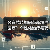 器官芯片如何革新精准医疗？个性化治疗与药物测试新突破（图4）