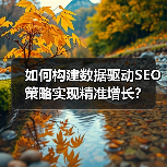如何构建数据驱动SEO策略实现精准增长？（图4）