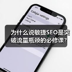 为什么说敏捷SEO是突破流量瓶颈的必修课？ - 推荐阅读文章