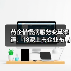 药企借慢病服务变革渠道:18家上市企业布局效果分析(图4) 药企借慢病服务变革渠道:18家上市企业布局效果分析(图4)