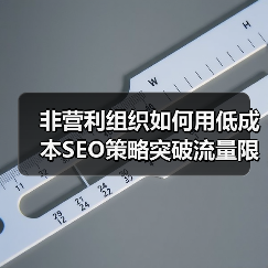 非营利组织如何用低成本SEO策略突破流量限制？ - 推荐阅读文章