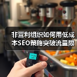 非营利组织如何用低成本SEO策略突破流量限制?(图4) 非营利组织如何用低成本SEO策略突破流量限制?(图4)