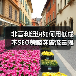 非营利组织如何用低成本SEO策略突破流量限制?(图3) 非营利组织如何用低成本SEO策略突破流量限制?(图3)