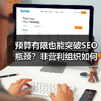 预算有限也能突破SEO瓶颈？非营利组织如何最大化影响力（图2）