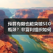 预算有限也能突破SEO瓶颈？非营利组织如何最大化影响力（图3）