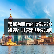 预算有限也能突破SEO瓶颈？非营利组织如何最大化影响力（图4）