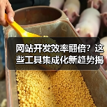 网站开发效率翻倍？这些工具集成化新趋势揭秘！ - 推荐阅读文章