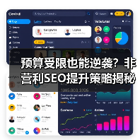 预算受限也能逆袭？非营利SEO提升策略揭秘 - 推荐阅读文章