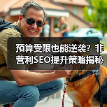 预算受限也能逆袭?非营利SEO提升策略揭秘(图3) 预算受限也能逆袭?非营利SEO提升策略揭秘(图3)