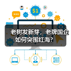 老树发新芽,老牌国企如何突围红海?(图4) 老树发新芽,老牌国企如何突围红海?(图4)