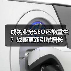 成熟业务SEO还能重生?战略更新引爆增长(图4) 成熟业务SEO还能重生?战略更新引爆增长(图4)