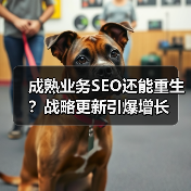 成熟业务SEO还能重生?战略更新引爆增长(图3) 成熟业务SEO还能重生?战略更新引爆增长(图3)