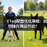 ETag配置优化策略:如何提升网站性能?(图4) ETag配置优化策略:如何提升网站性能?(图4)