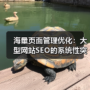 海量页面管理优化：大型网站SEO的系统性突围策略 - 推荐阅读文章