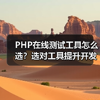 PHP在线测试工具怎么选？选对工具提升开发效率（图1）