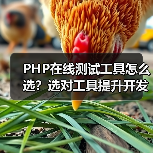 PHP在线测试工具怎么选？选对工具提升开发效率（图2）