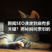 新闻SEO速度到底有多关键?揭秘瞬间索引的排名玄机(图3) 新闻SEO速度到底有多关键?揭秘瞬间索引的排名玄机(图3)