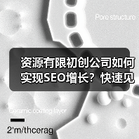 资源有限初创公司如何实现SEO增长？快速见效的低成本策略（图4）