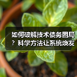 如何破解技术债务困局?科学方法让系统焕发新生(图4) 如何破解技术债务困局?科学方法让系统焕发新生(图4)