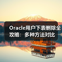 Oracle用户下表删除全攻略：多种方法对比（图4）