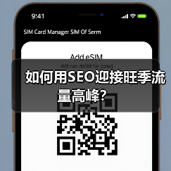 如何用SEO迎接旺季流量高峰?(图2) 如何用SEO迎接旺季流量高峰?(图2)