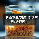 迅雷下载变慢?揭秘背后6大原因!(图3) 迅雷下载变慢?揭秘背后6大原因!(图3)