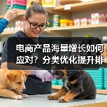 电商产品海量增长如何应对？分类优化提升排名实战指南 - 推荐阅读文章