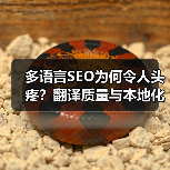 多语言SEO为何令人头疼？翻译质量与本地化策略破解全球市场拓 - 推荐阅读文章