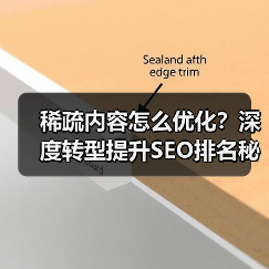 稀疏内容怎么优化?深度转型提升SEO排名秘诀(图3) 稀疏内容怎么优化?深度转型提升SEO排名秘诀(图3)