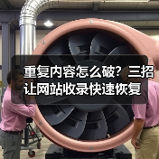 重复内容怎么破？三招让网站收录快速恢复（图1）