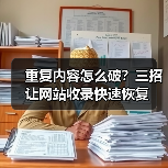 重复内容怎么破？三招让网站收录快速恢复（图2）