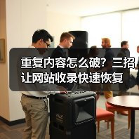 重复内容怎么破？三招让网站收录快速恢复（图4）