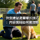 外贸建站流量增长技巧：内容营销如何高效吸引目标客户？（图2）