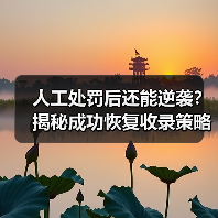 人工处罚后还能逆袭？揭秘成功恢复收录策略（图4）