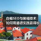 白帽SEO与黑帽技术：如何用道德实践赢得长期价值与用户信任？（图3）