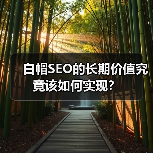 白帽SEO的长期价值究竟该如何实现？（图3）